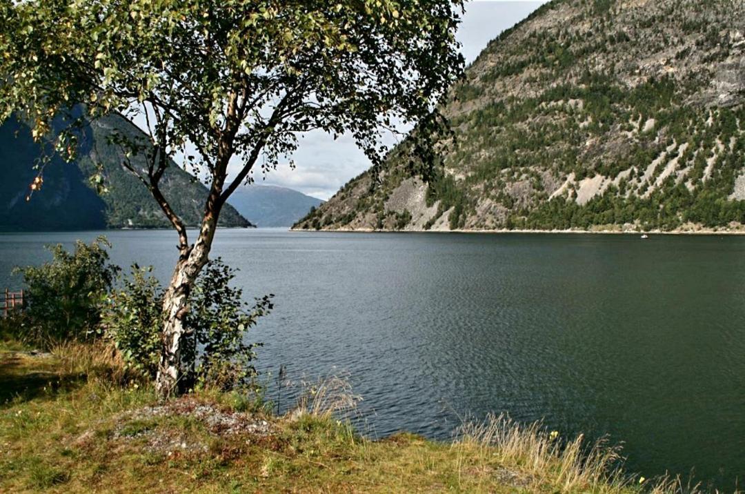 Willa Kvammehuset Pa Gamle Lærdalsøyri Zewnętrze zdjęcie