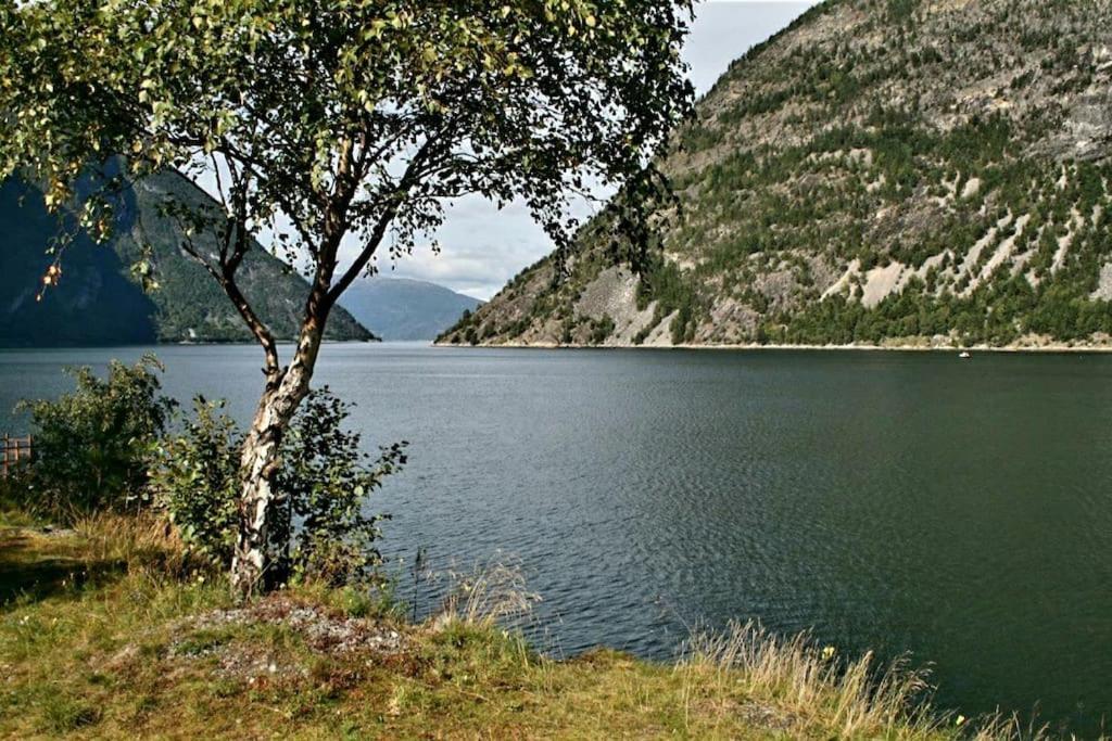 Willa Kvammehuset Pa Gamle Lærdalsøyri Zewnętrze zdjęcie